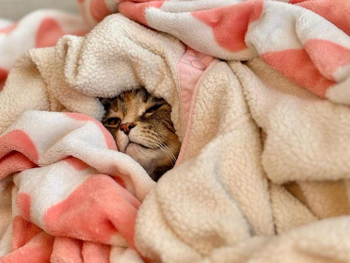 On Abstraction and&nbsp;Analogy